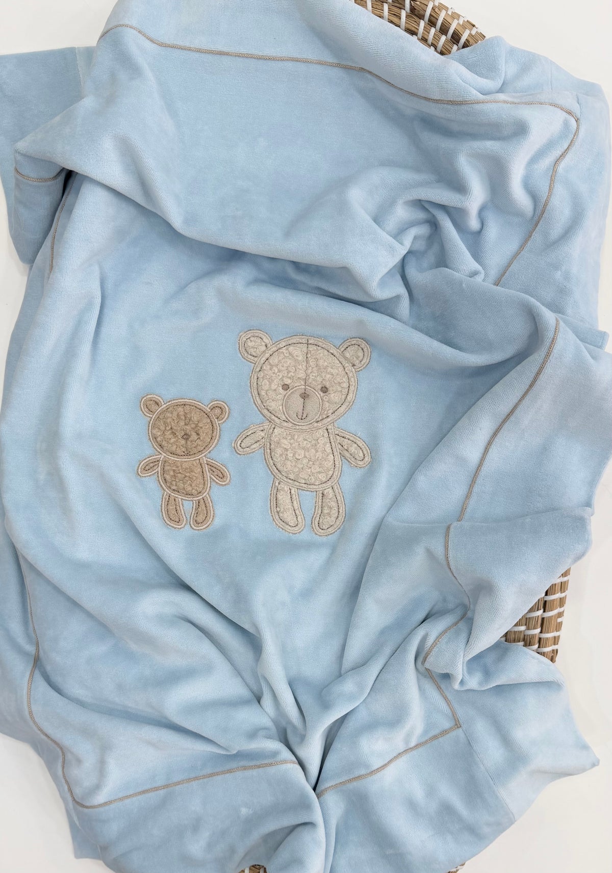 Copertina ciniglia Teddy
