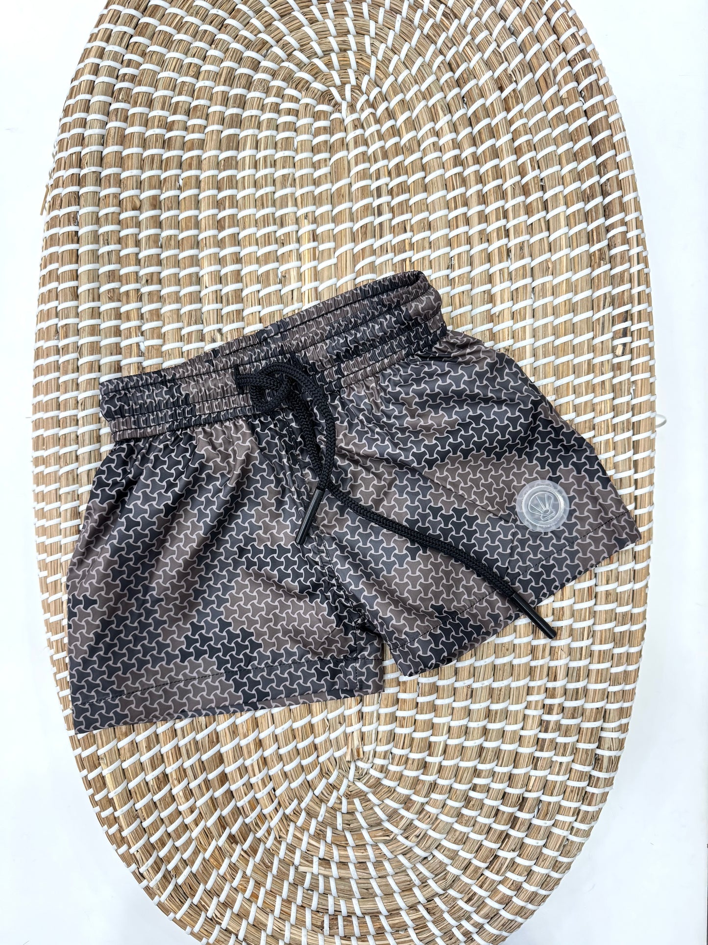 Boxer Trivor
