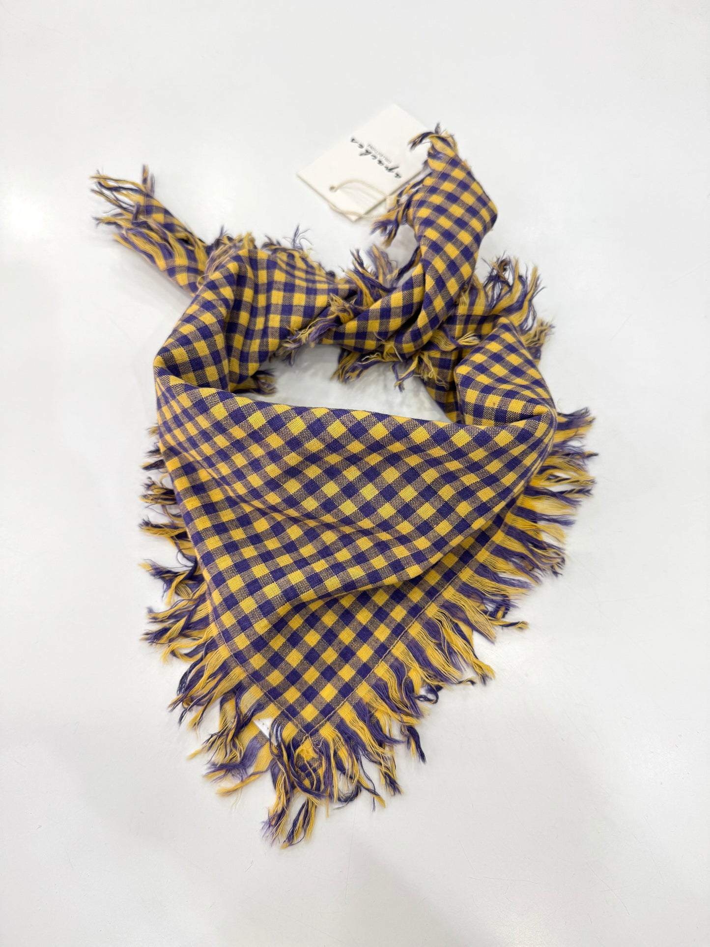 Foulard Apaches
