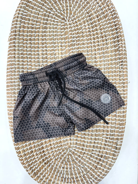 Boxer Trivor
