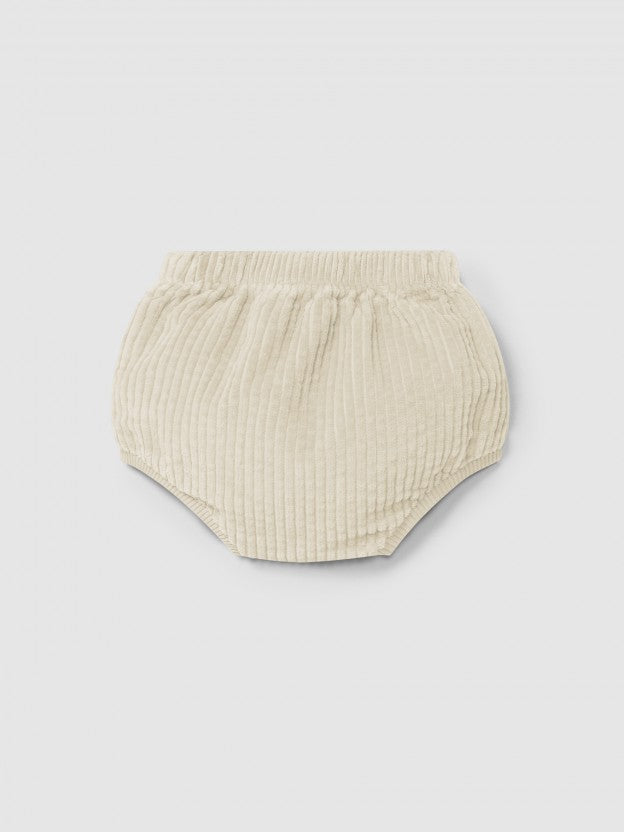 culotte