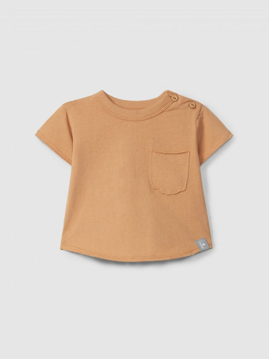 T-shirt Jersey cotone