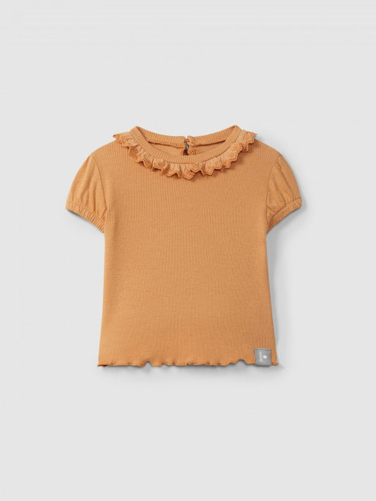 T-shirt colletto