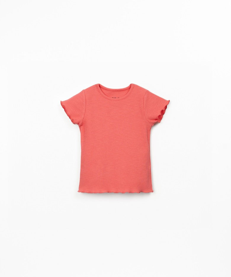 T-shirt a costine