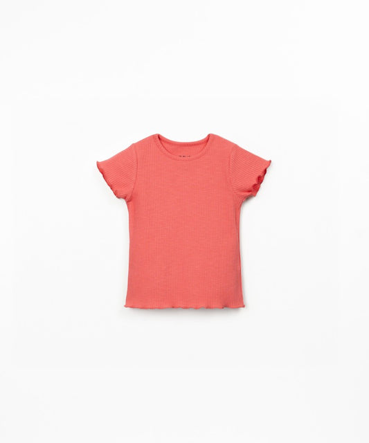 T-shirt a costine